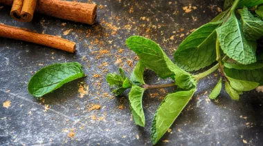 garnishing-instructions-image